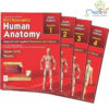 B D Chaurasia’s Human Anatomy 4 Volume Set, 9th Edition
