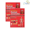 BD Chaurasia's Human Anatomy 9ed Vol 3 And 4 Regional And Applied Dissection And Clinical Head And Neck Brain Neuroanatomy (Pb 2023) Set Of 2 Vols